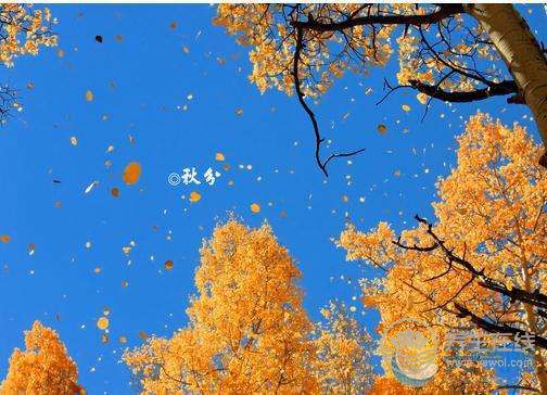 2017秋分節氣養生 節氣養生之秋分注意什么