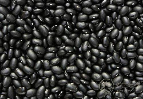 這幾種食物很養(yǎng)生,秋季,女人可常吃 這幾種食物很養(yǎng)生,秋季,女人可常吃