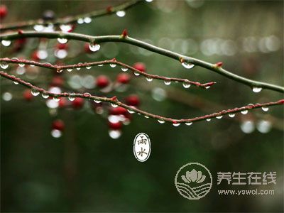 雨水<a href=http://www.gyfww.com/jkys/ target=_blank class=infotextkey>養生</a>:嗑多瓜子、春燥,上火怎么辦 雨水養生:嗑多瓜子、春燥,上火怎么辦