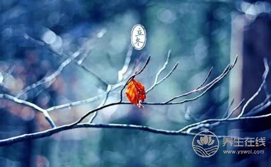 立冬養生要注意什么？立冬養生六大注意事項