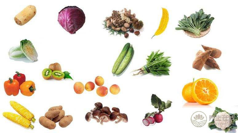 小暑膳食養生 先辨證體質