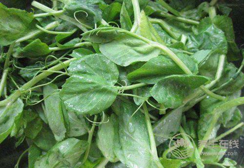 春天多吃這4種蔬菜，好吃更健康