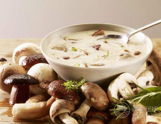 秋冬來臨,恢復免疫力就靠它們了! 秋冬來臨,恢復免疫力就靠它們了!