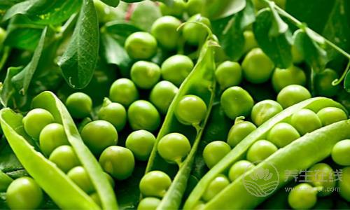 夏季養生，你不能錯過這6種“養生豆”！