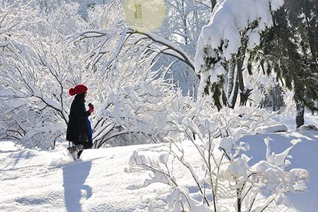 怎樣預(yù)防冬季流感? 怎樣預(yù)防冬季流感?