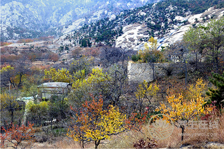 立冬都有哪些農事活動? 立冬都有哪些農事活動?