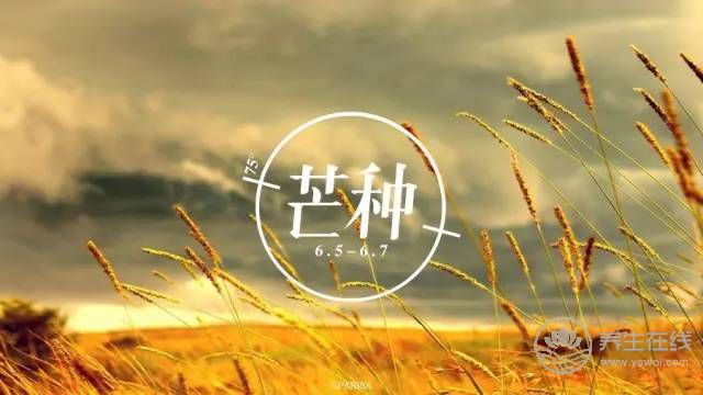 2019年什么時候芒種 芒種時間幾點幾分