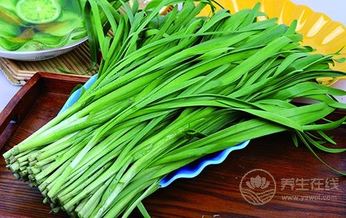 春季養生保健菜 吃韭菜的七個學問