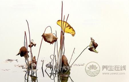 立冬有什么習俗?立冬傳統的七大習俗 立冬有什么習俗?立冬傳統的七大習俗