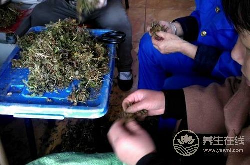 清明時節(jié)飲食養(yǎng)生少不了4種食物