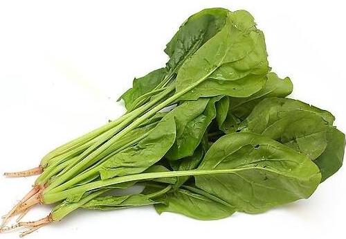 三月養(yǎng)護胃部健康，可常吃3種蔬菜