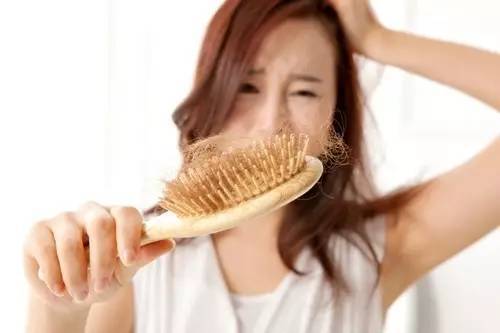 秋季吃什么防止掉發 秋季吃什么防止掉發