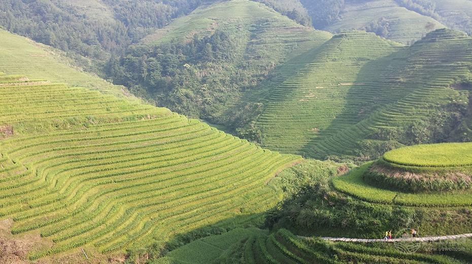 性事積極也是秋季養(yǎng)生之道?這15件事能做到一半你的身體不會(huì)太差 性事積極也是秋季養(yǎng)生之道?這15件事能做到一半你的身體不會(huì)太差