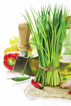 春季養生保健菜 吃韭菜的七個學問