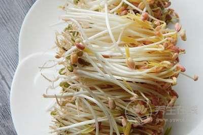 節(jié)氣養(yǎng)生 | 小暑養(yǎng)生飲食有三寶 黃鱔蓮藕綠豆芽