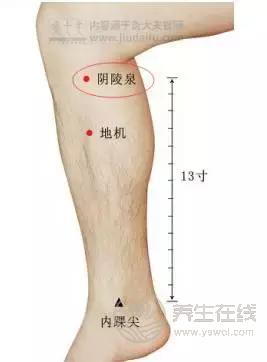 夏季濕氣不除、越補越毒！祛濕氣最厲害的，不是薏米，而是它！