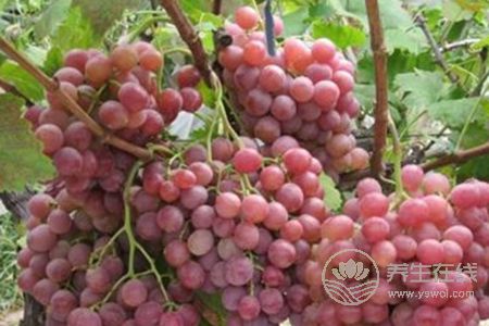 春季適合吃什么水果?