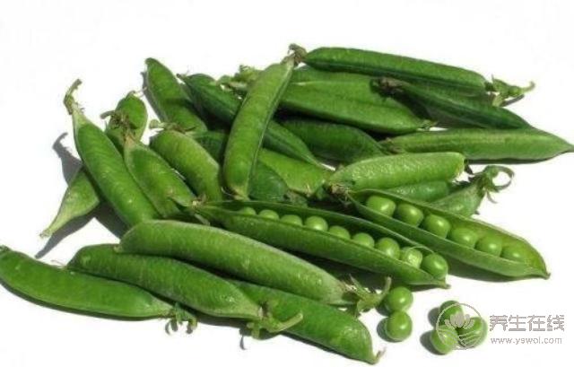 初夏養生吃什么？美食小編告訴您…