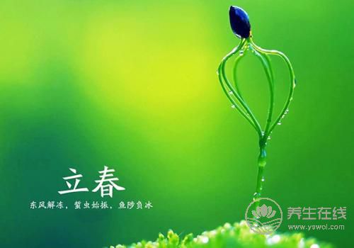 2019年什么時候立春 立春時間是幾點幾分