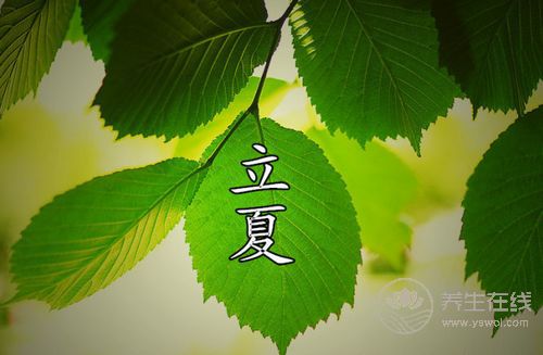 立夏養生:晚睡+早起+午休更健康 立夏養生:晚睡+早起+午休更健康