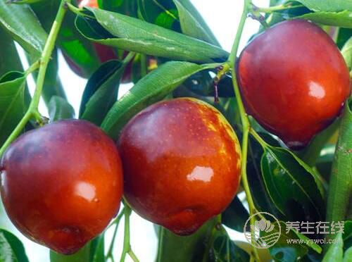 秋天水果豐收，好吃又營養(yǎng)，但千萬不要過量