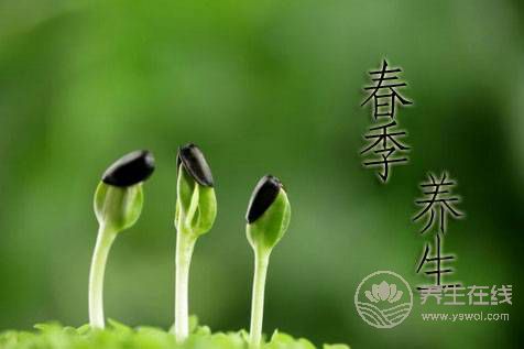 春季養陽 飲食宜忌需清楚