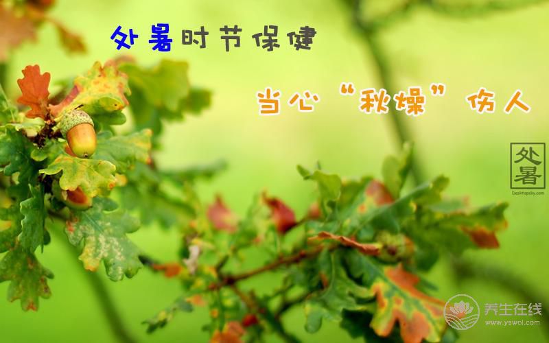 處暑吃什么食物 應(yīng)該如何養(yǎng)生 處暑吃什么食物 應(yīng)該如何養(yǎng)生