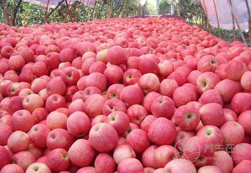 進入十月份,常吃這些水果,養人又養生 進入十月份,常吃這些水果,養人又養生