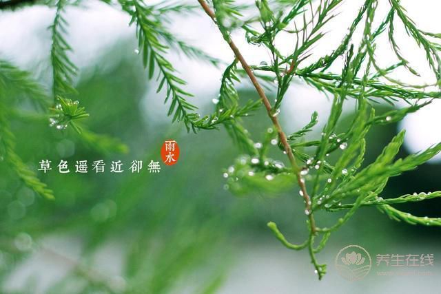 雨水——好雨知時節, 當春乃生發