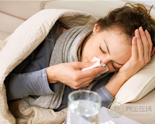 夏季抗感冒,這6種水果必備 夏季抗感冒,這6種水果必備