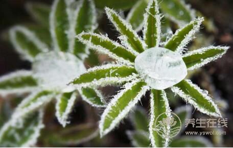 霜降時節哪些疾病易復發？