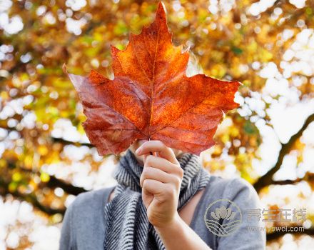 秋季養生：重保暖 慎秋凍