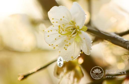 2018年立春具體時(shí)間?2018年立春是幾月幾號(hào)星期幾? 2018年立春具體時(shí)間?2018年立春是幾月幾號(hào)星期幾?