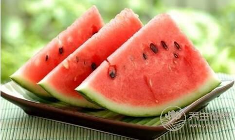 如何挑選西瓜?挑選西瓜的小技巧 如何挑選西瓜?挑選西瓜的小技巧