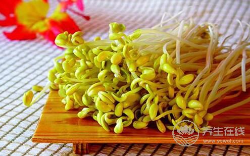 夏季養生：豆芽菜清熱利濕解毒