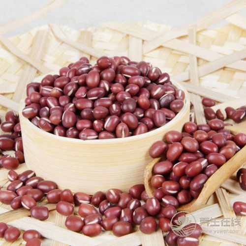 春季最適合排毒 排毒飲食你選什么 春季最適合排毒 排毒飲食你選什么