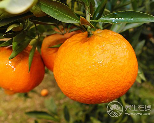 夏季抗感冒,這6種水果必備 夏季抗感冒,這6種水果必備