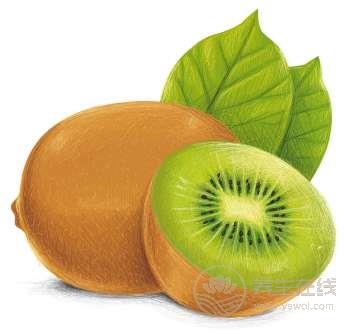 夏季便秘多發，如何食療治療