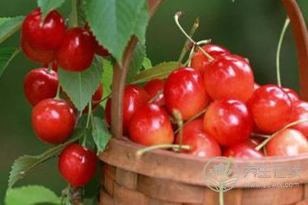 大寒節氣吃什么蔬菜水果好呢?