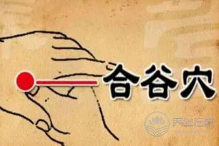 秋天吃什么好能防秋燥?