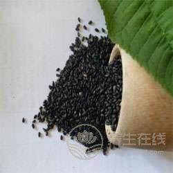 春季養生吃什么好 七種食物不可少