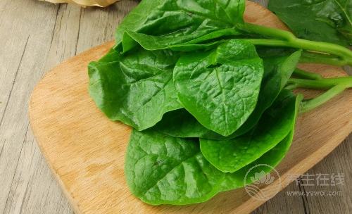 秋冬不生病，立秋多吃4種祛濕蔬菜