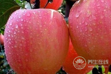 冬季咳嗽吃什么蔬菜水果好? 冬季咳嗽吃什么蔬菜水果好?