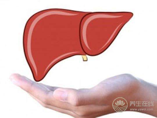 夏季飲食要注意，千萬別吃成脂肪肝