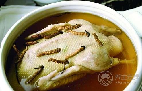 三伏天吃鴨子 不上火勝補藥