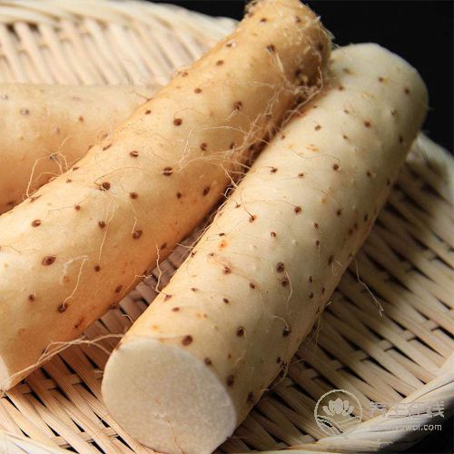 冬季宜養腎，常吃4種食物讓腎臟恢復活力