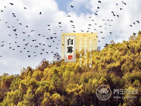 2019年什么時(shí)候白露 白露時(shí)間幾點(diǎn)幾分