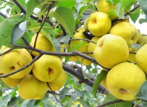 秋季養(yǎng)生做到這3個效果最好