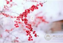 立冬時節有哪些養生小常識？