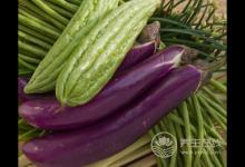 夏季養生究竟該多“吃苦” 還是多“吃辛”？